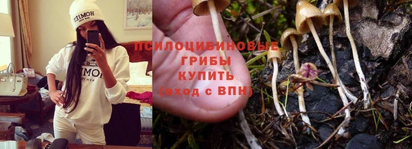 бутират Касимов