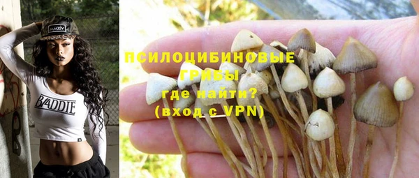 каннабис Карпинск